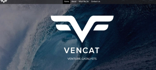 風險投資網站 風險投資網站